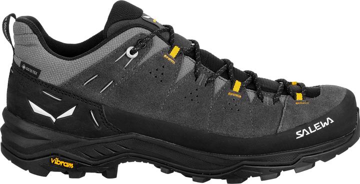 Image du produit Salewa Alp Trainer 2 GTX (40.5)