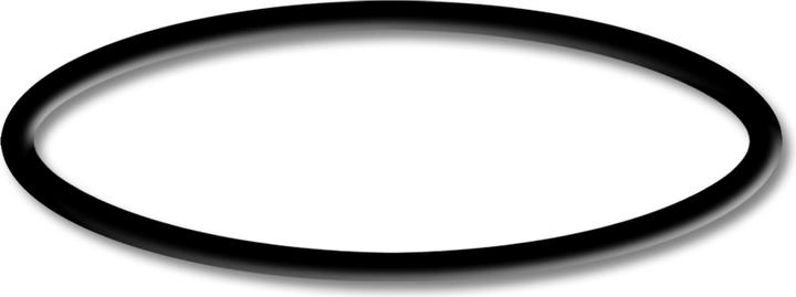 Actual product image SunSun Spare Part: CPF-2500 Pressure Pond Filter O-Ring 5