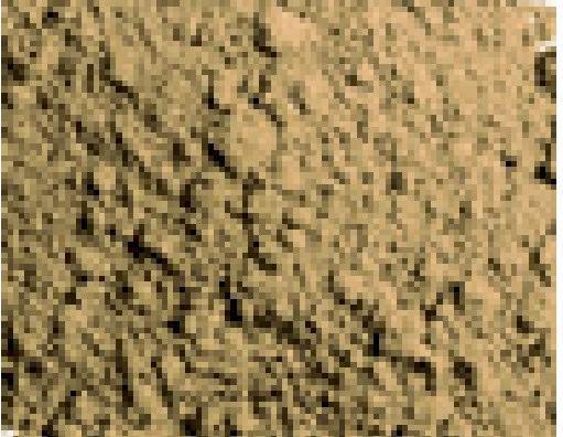 Produktbild Vallejo VAL-73.103 - Pigments - Dark Yellow Ocre, 35 ml (35 ml)