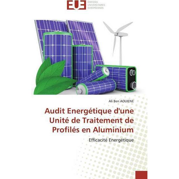 Audit Energétique d'une Unité de Traitement de Profilés en Aluminium, Fachbücher von Ali Ben AOUIENE