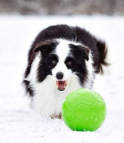 Actual product image Jolly Pets Jolly Soccer Ball Grün L (20 cm) (Ball toy dog)