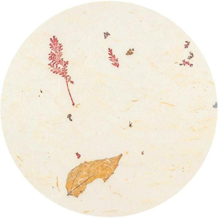 Produktbild Ursus Bastelpapier Natur Leaves, Papierformat: 23 x 33 cm (35 g/m², 10x)