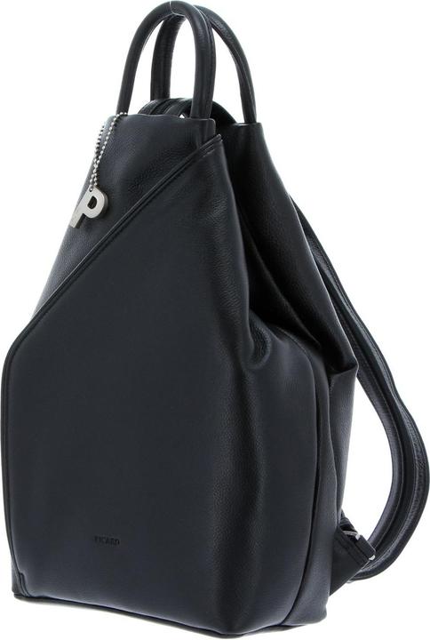 Actual product image Picard Luis (10 l)