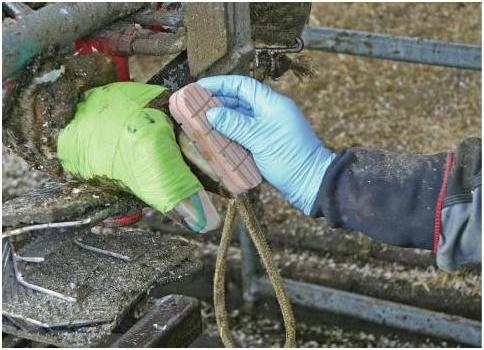 Produktbild Kerbl Technovit-2-Bond Set, für 10 Anwendung.,ohne Dosierpistole