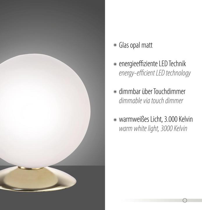 Produktbild Paul Neuhaus messing matt LEDTischleuchte (245 lm, G9)
