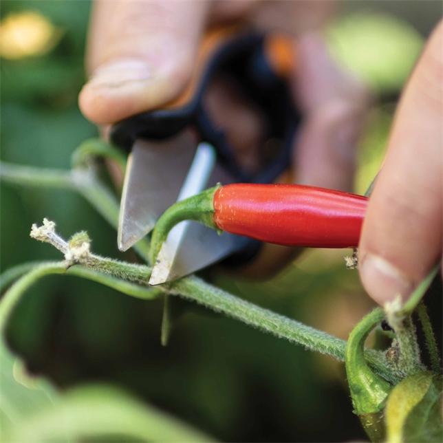 Produktbild Fiskars Kräuterschere