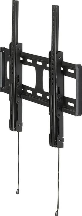 Immagine prodotto Hagor BL Tilt 400 (49 pollici) (Muro, 49", 40 kg)