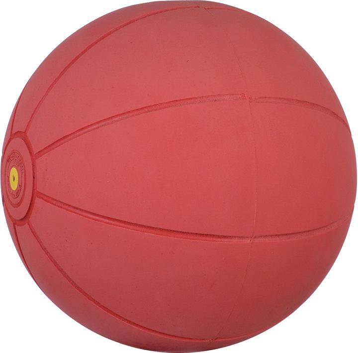 Produktbild WV Ball Medizinball (1.50 kg, 220 mm)