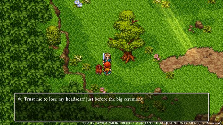 Image du produit Nintendo Dragon Quest 11 - Edition définitive (Switch, EN)