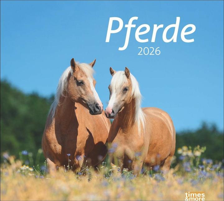 Produktbild times&more Pferde Bildkalender 2026