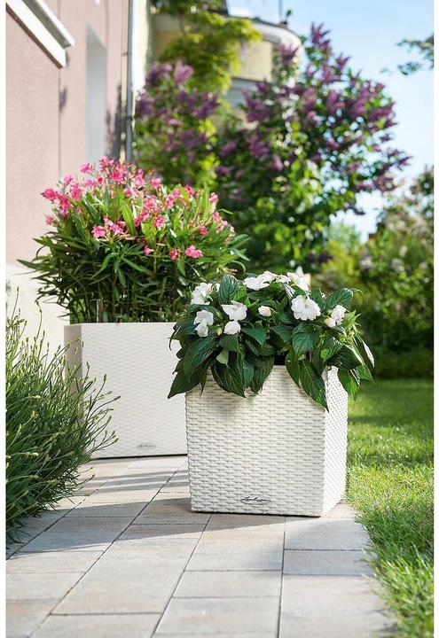 Actual product image Lechuza Cube Cottage (39 x 39 x 40 cm)