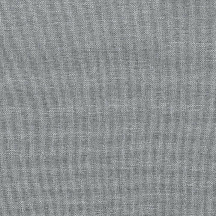 Immagine prodotto VidaXL Divano letto a 2 posti con cuscini Poggiapiedi Divano letto Daybed Velluto grigio chiaro (Divano letto)