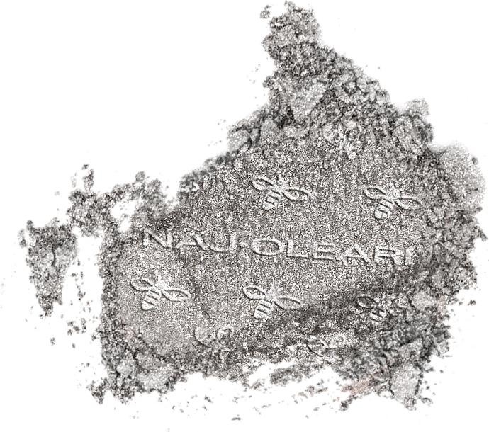 Actual product image Naj Oleari Colour Fair Eyeshadow Wet&Dry 19 starry silver 2g (19)