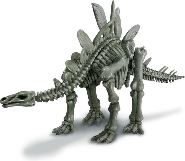 Actual product image 4M Dig a Stegosaurus Skeleton