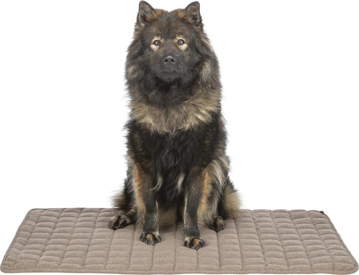 Actual product image Trixie Caliente lying mat, square, 60 × 50 cm, brown (Dog)