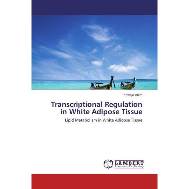 Transcriptional Regulation in White Adipose Tissue, Fachbücher von Khwaja Islam
