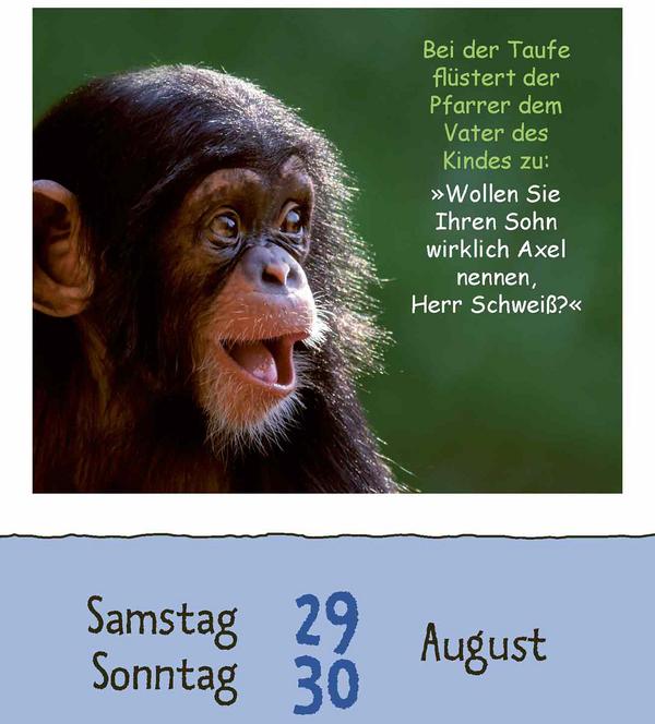 Produktbild Schülerwitze 2026 (12 x 16 cm)