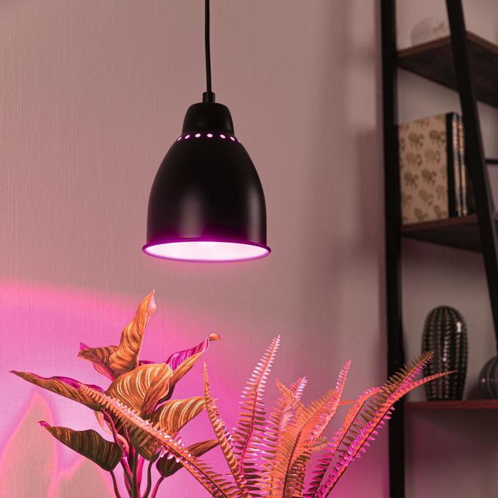 Actual product image Paulmann Neordic Hilla (E27)