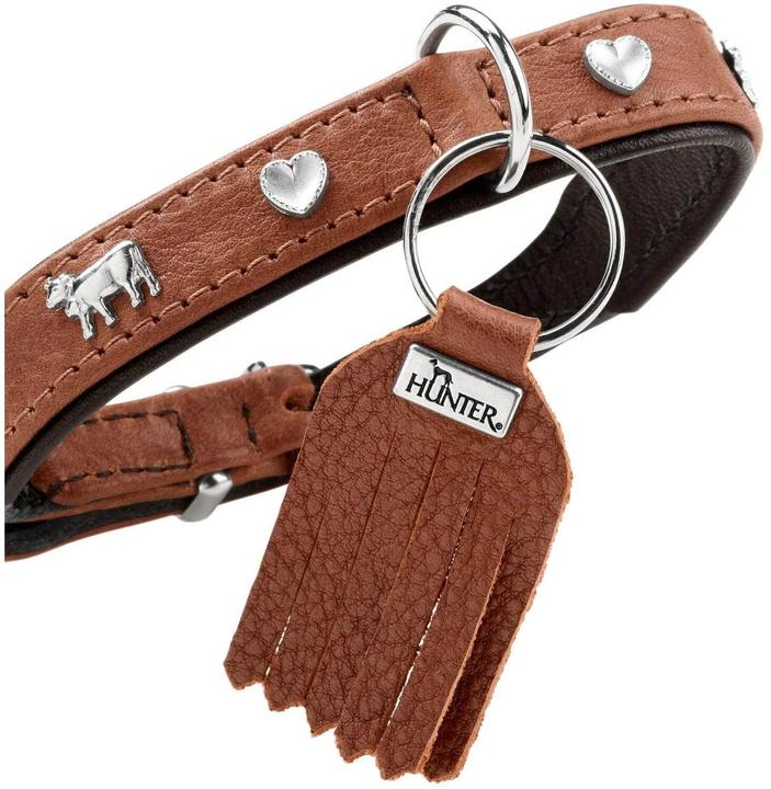 Actual product image Hunter Collar Munich Mini 30/XS, cowhide, cognac/black (XS, Dog, General)