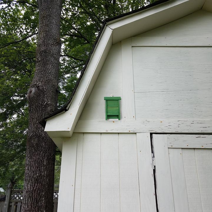Actual product image Relaxdays Bat box