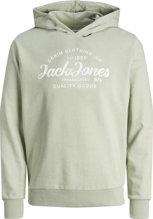 Produktbild Jack & Jones Jjforest Sweat Hood Jnr (140)