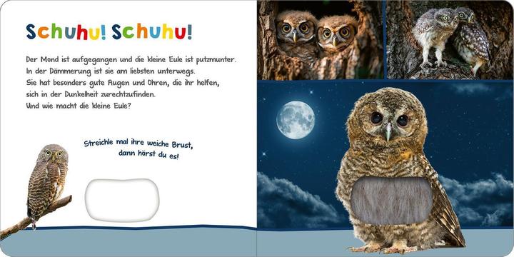 Actual product image Hör mal rein, wer kann das sein? - Tiere in der Nacht (German)