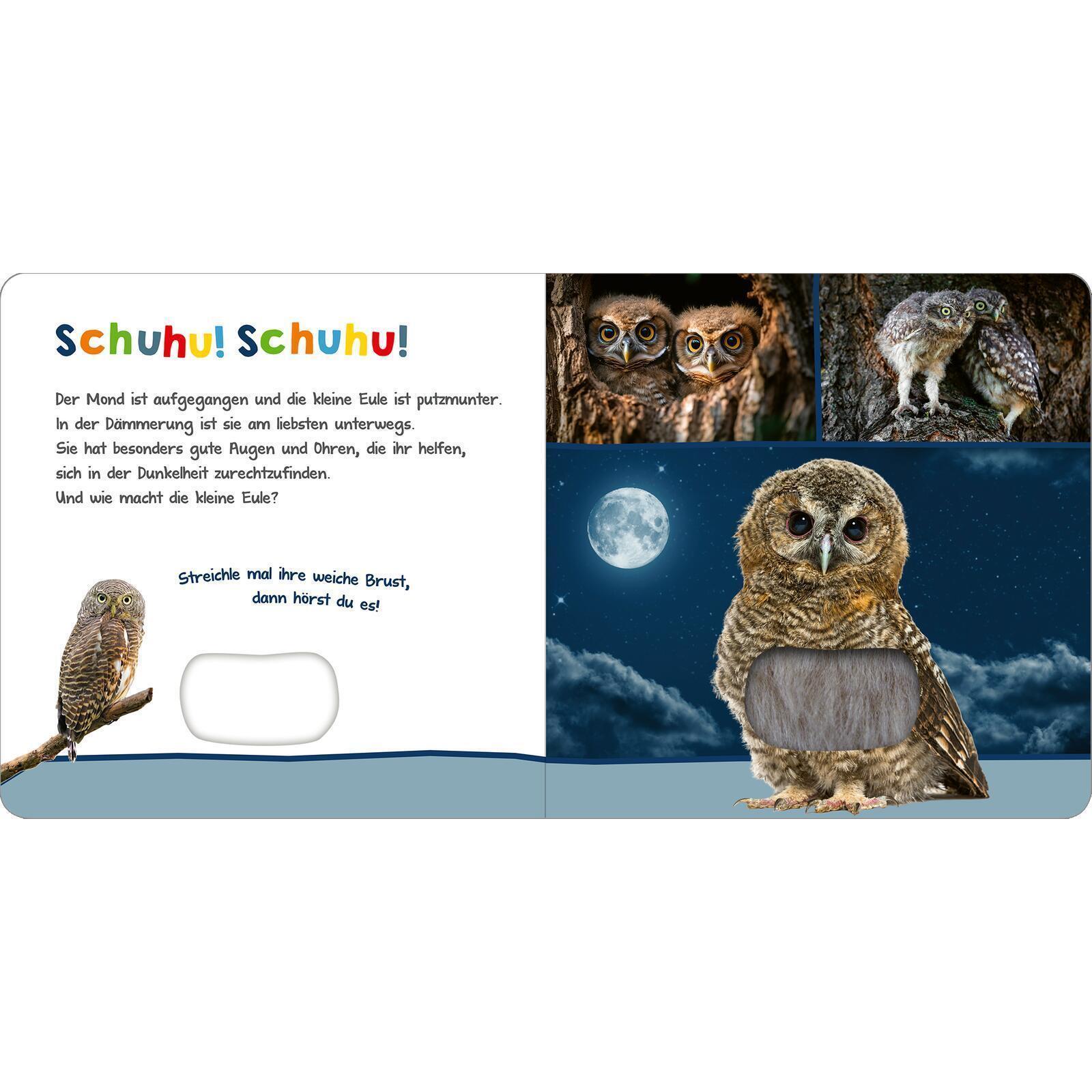 Thumbnail - Ars Edition, Babybücher, Hör mal rein, wer kann das sein? – Tiere in der Nacht (Deutsch)