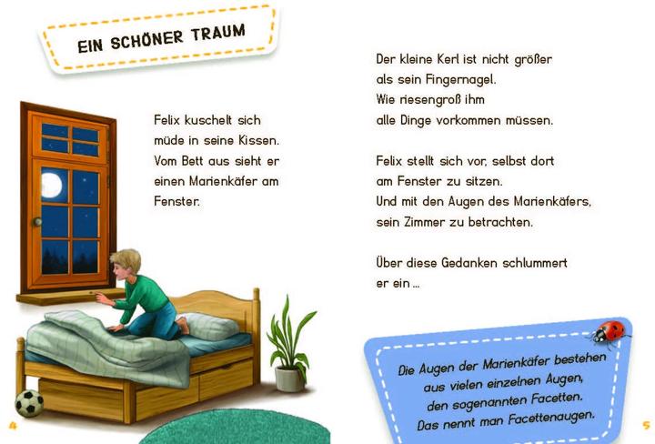 Produktbild Unsichtbare Tiere (Deutsch, Dencker Isabel, Sanna Wandtke, 2023)