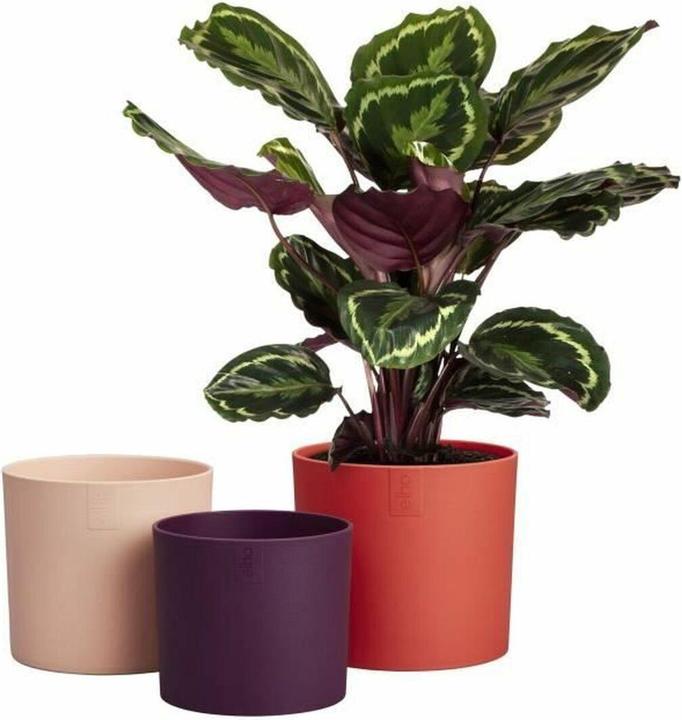 Produktbild Elho Lex Pott Set