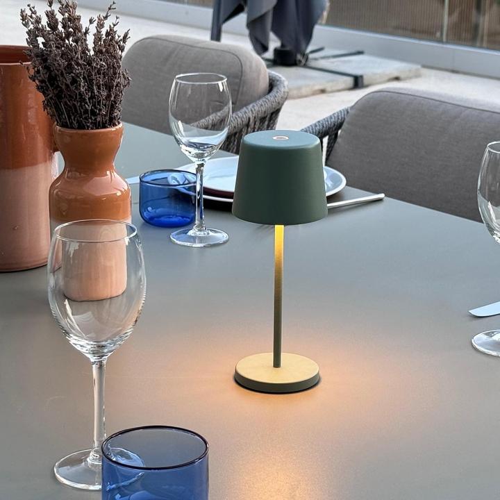 Actual product image Lumisky Mini LED Table Lamps with Charging Plate, Dimming, 7-Hour Runtime