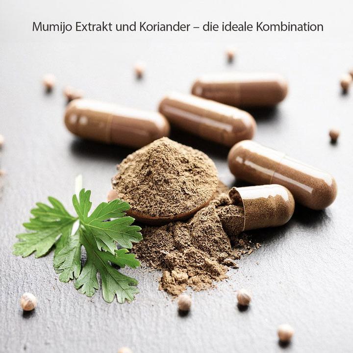 Produktbild Effective Nature Mumijo Shilajit Extrakt (60 Stück, Kapseln, 37 g)