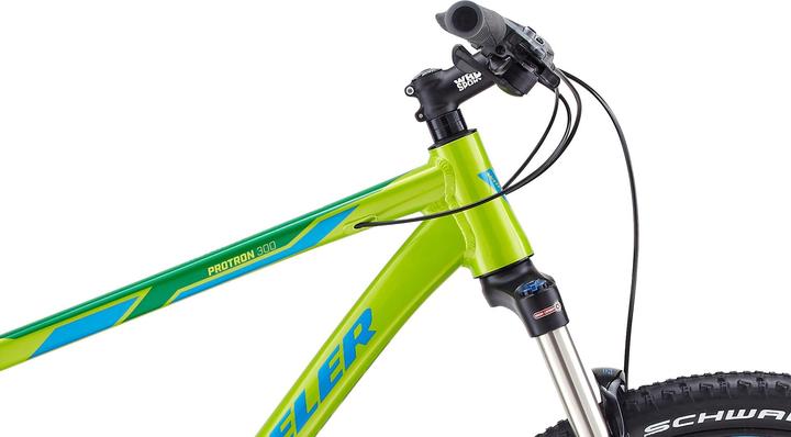 Actual product image Wheeler Protron 300 (38 cm)