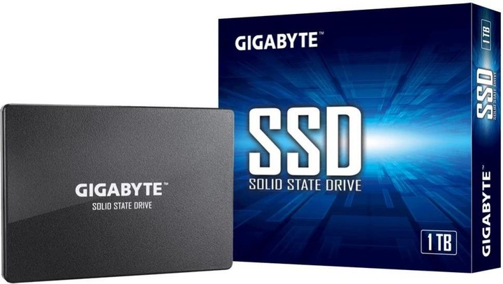 Actual product image Gigabyte GP-GSTFS31100TNTD (1000 GB, 2.5")