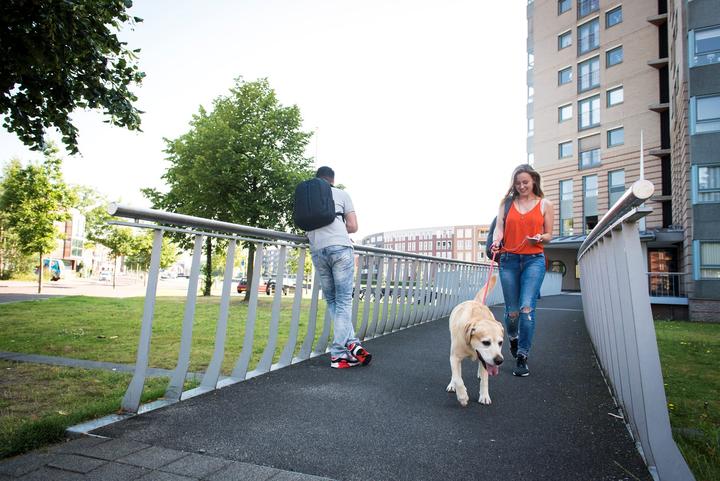 Image du produit Rivacase Village alpin 7560