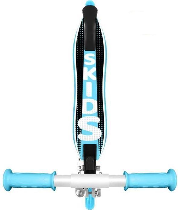 Actual product image Skids Control Foldable Scooter, blue