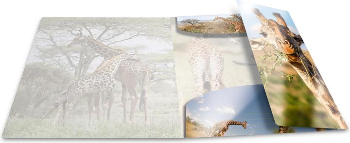 Actual product image HERMA A4 motif folder (A4, 1 x)