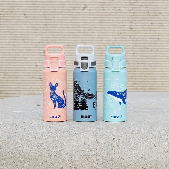 Produktbild Sigg WMB One (0.60 l)