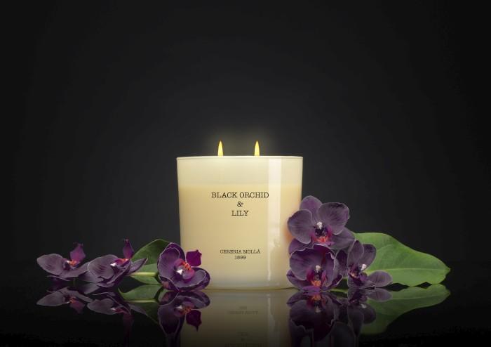 Actual product image Cereria Molla Air Freshener - Pack of 1 (600 g)