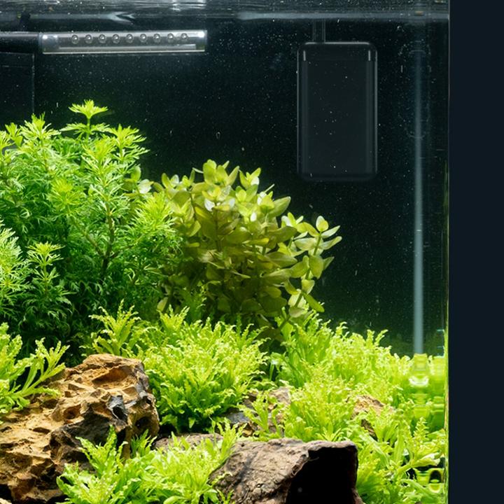 Actual product image Dennerle Heater Constant, 35 W