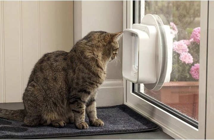 Productafbeelding SureFlap Kattendeur met dubbele scan (Microchip kattenluikje)