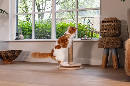 Image du produit Designed by Lotte Zavi (62 cm, Brown)