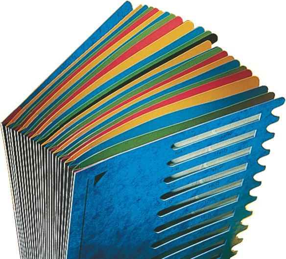 Image du produit Leitz Classeur à pupitres en couleur (A4, 1x)