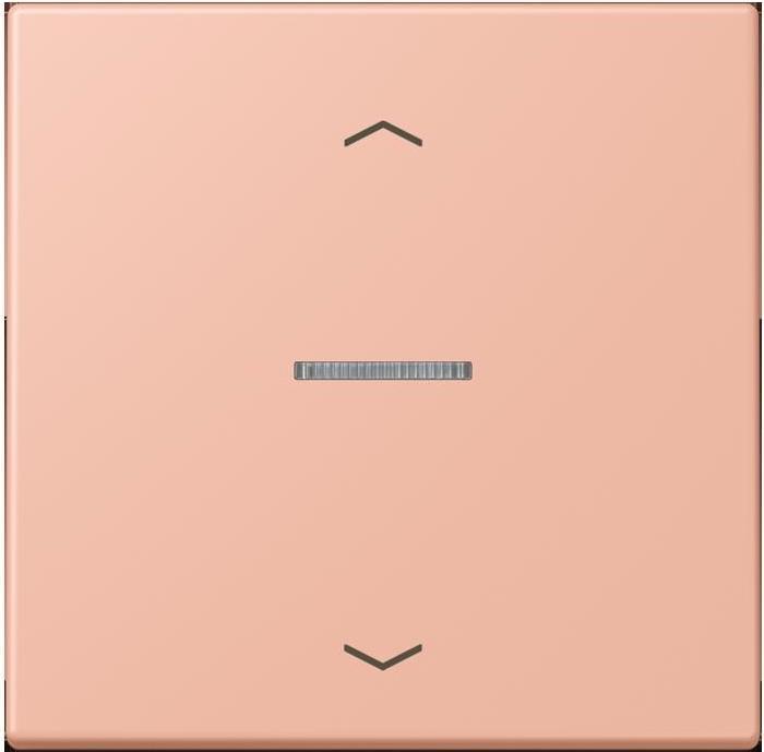 Actual product image JUNG BTLC17101P231 HOME push button