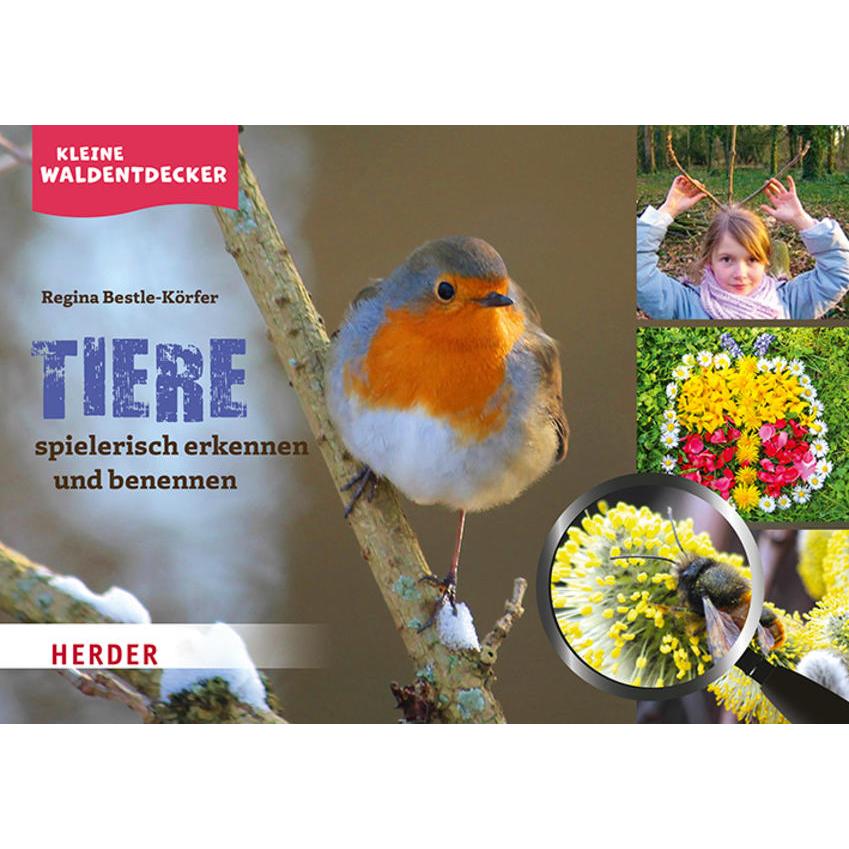 Kleine Waldentdecker: Tiere, Fachbücher von Regina Bestle-Körfer