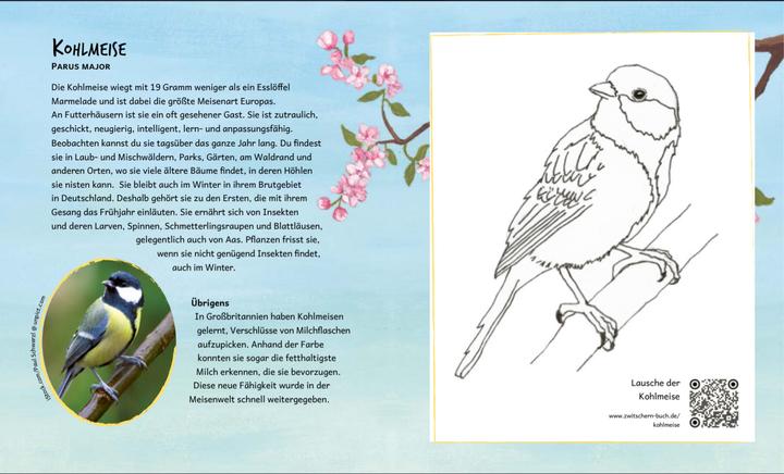 Actual product image The chirping of the birds