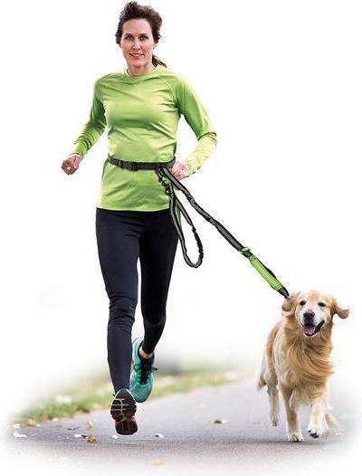 Produktbild Record Joggingleine mit Gürtel (Hund, Spazieren)