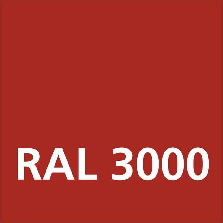 Actual product image Dupli-Color NEXT RAL 3000 Flame red glossy (Flame-red, 0.40 l)