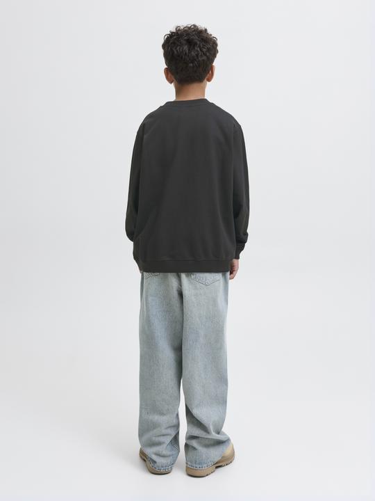 Image du produit Jack & Jones Junior Pullover MEADOWS Sweatshirt (140)