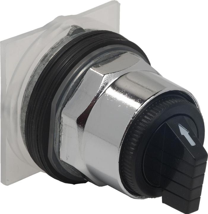 Actual product image Schneider 9001KS402FB