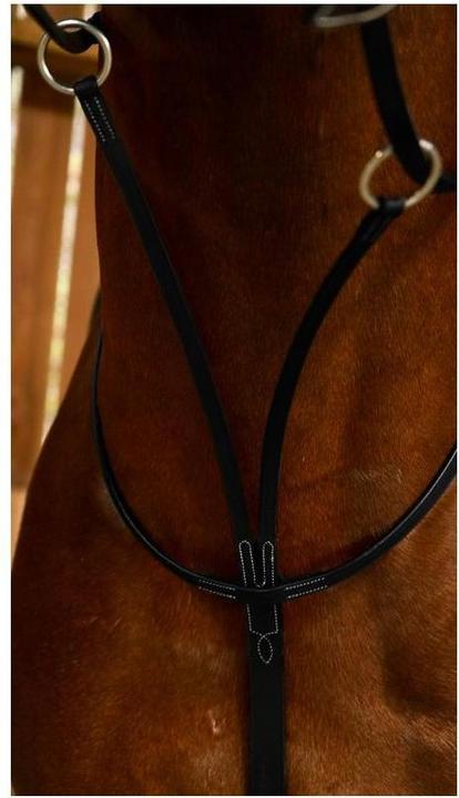 Produktbild Dy'on Gleitendes Ringmartingal Working Collection